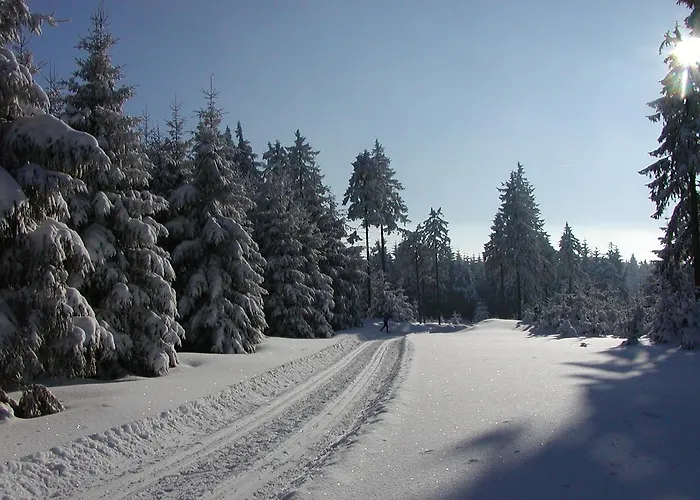 Апартаменты Petzold *