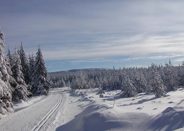 Апартаменты Petzold *