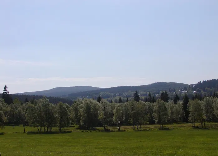 Апартаменты Petzold *